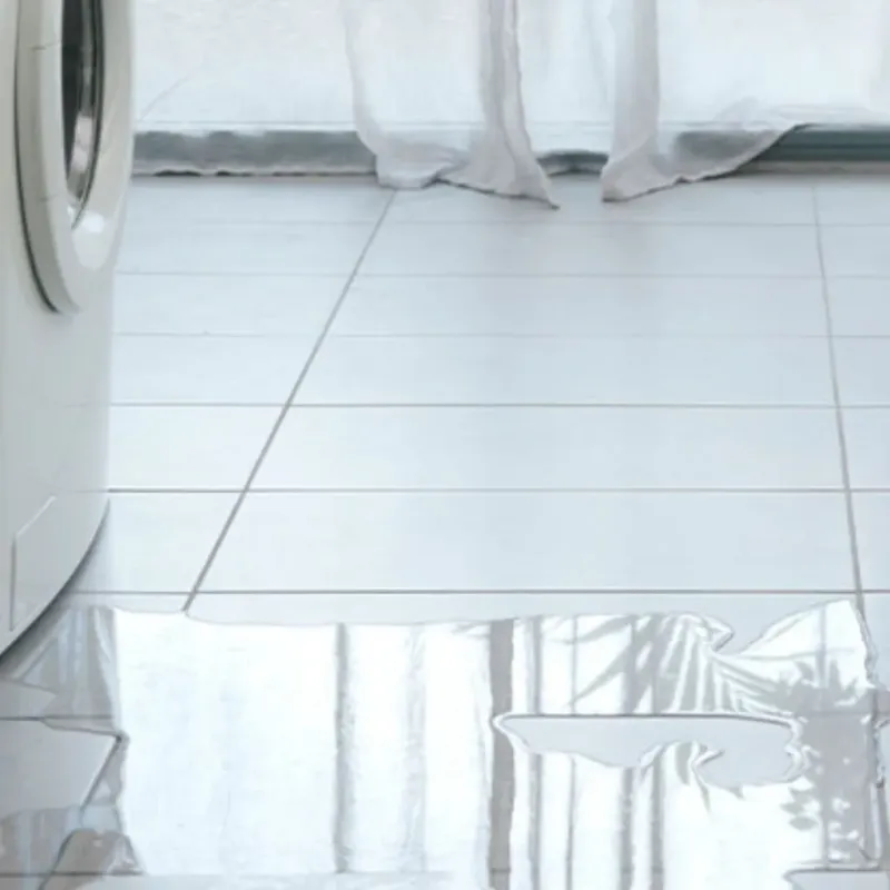 Appliance Leak Cleanup in Gilbert, MN