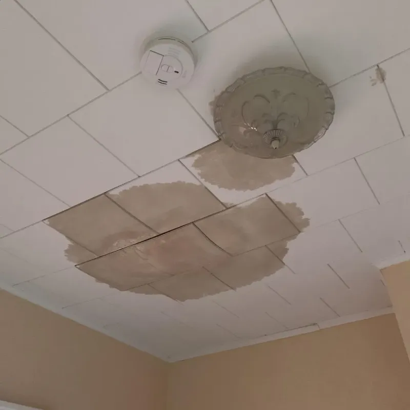 Ceiling Water Damage Repair in Gilbert, MN